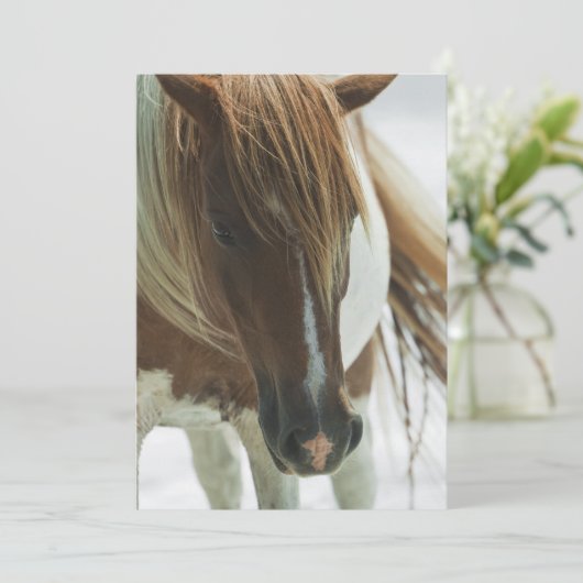 Invitation de cheval sauvage de mustang (Debout devant)