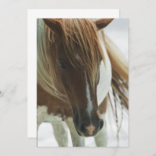 Invitation de cheval sauvage de mustang (Devant / Derrière)