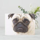 Invitation de chien de carlin (Debout devant)