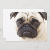 Invitation de chien de carlin (Devant / Derrière)