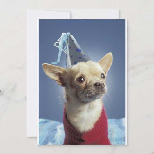 Invitation de chien de fête (Devant)