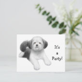 Invitation de chien de Shih Tzu (Debout devant)