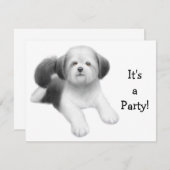 Invitation de chien de Shih Tzu (Devant / Derrière)