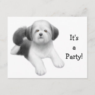 Invitation de chien de Shih Tzu