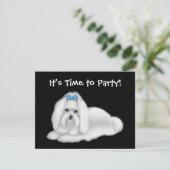 Invitation de chien maltais (Debout devant)