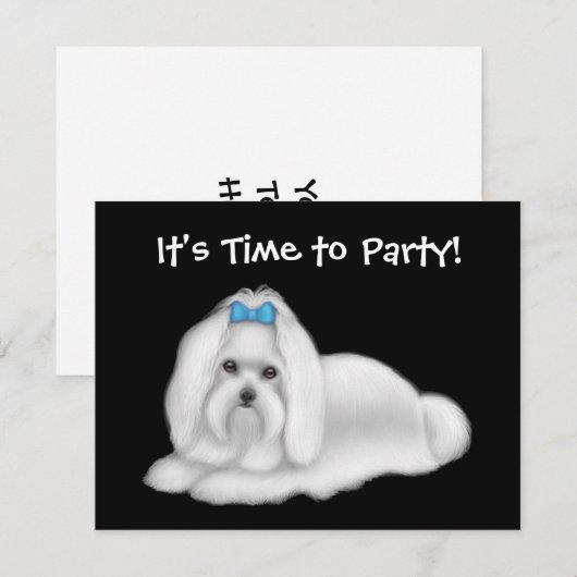 Invitation de chien maltais (Devant / Derrière)