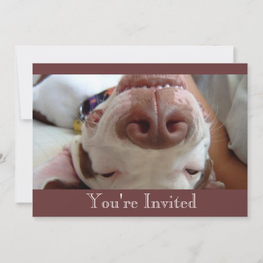 Invitation de Chiens heureux (Devant)