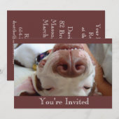Invitation de Chiens heureux (Devant / Derrière)