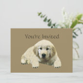 Invitation de chiot de golden retriever (Debout devant)