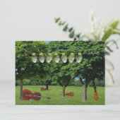 Invitation de concert (Debout devant)