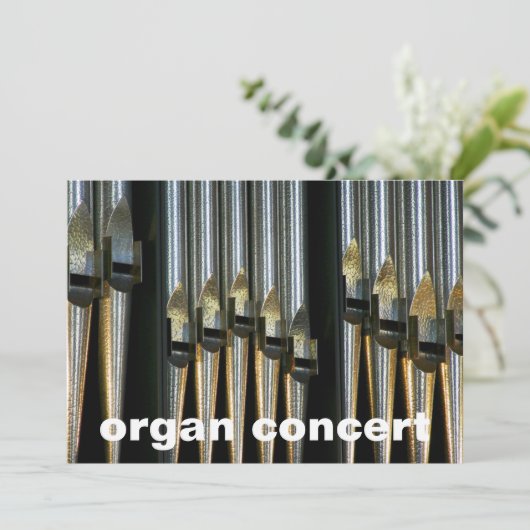 invitation de concert d'organes - tuyaux métalliqu (Debout devant)
