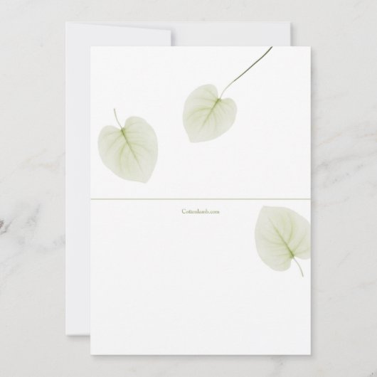 Invitation de confirmation feuille (Dos)