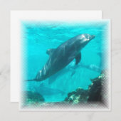 Invitation de dauphin de natation (Devant / Derrière)