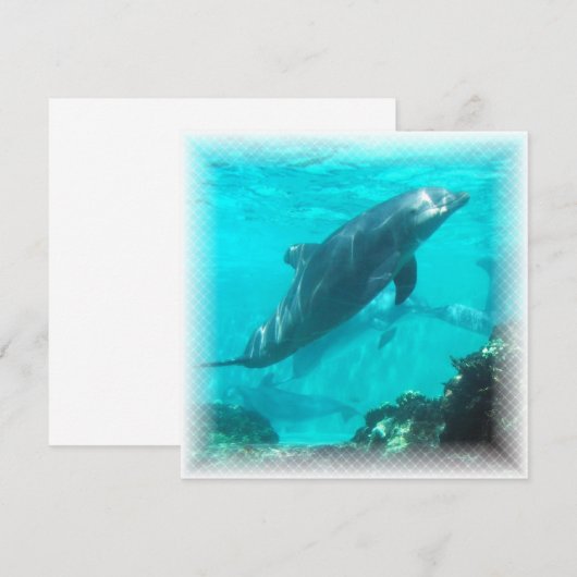 Invitation de dauphin de natation (Devant / Derrière)