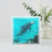 Invitation de dauphin de natation (Debout devant)