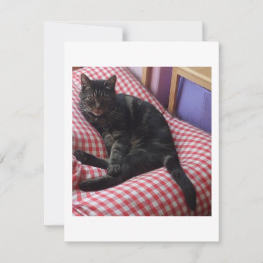 Invitation de Dave mignon (Devant)