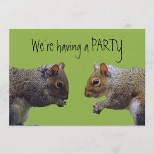 Invitation de deux écureuils