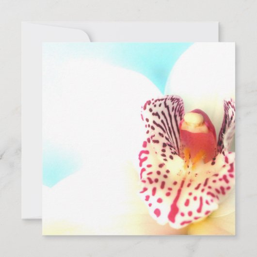 Invitation de douche nuptiale (Dos)