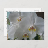 Invitation de douche nuptiale Orchidées blanches C (Devant / Derrière)