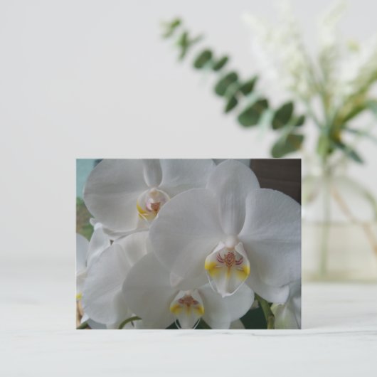 Invitation de douche nuptiale Orchidées blanches C (Debout devant)