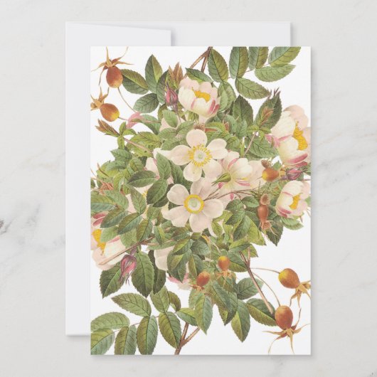 Invitation de douche nuptiale peinte Primrose (Dos)