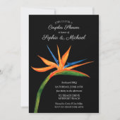 Invitation de douche Oiseau tropical des couples d (Devant)