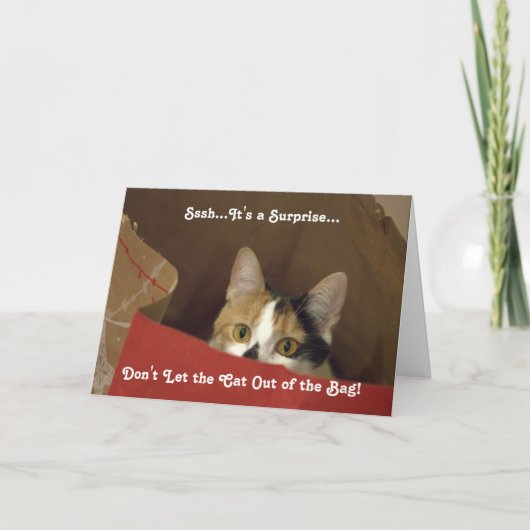 Invitation de fête comportant le chat de calicot (Devant)