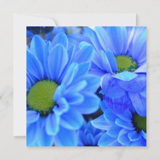 Invitation de fête d'anniversaire (Dos)