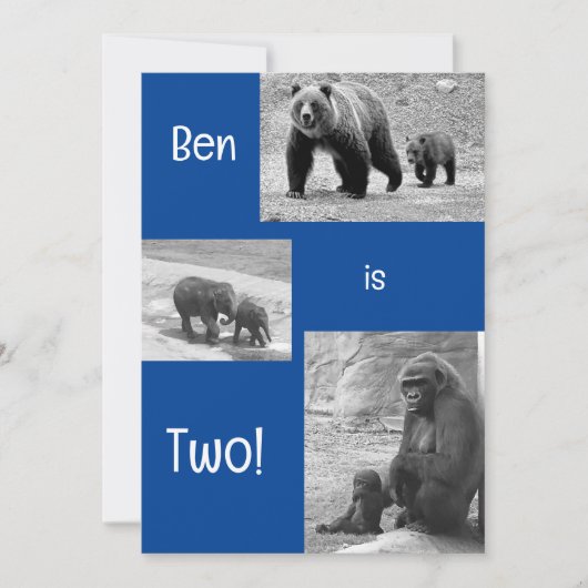 Invitation de fête d'anniversaire au zoo de deux e (Devant)