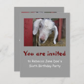 Invitation de fête d'anniversaire de chèvre de (Devant / Derrière)
