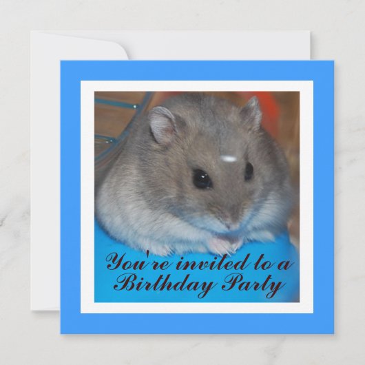 Invitation de fête d'anniversaire de hamster (Devant)