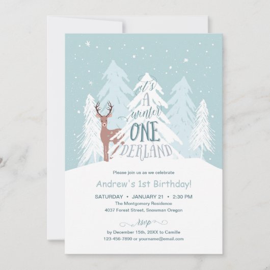 Invitation de fête d'anniversaire d'Onederland (Devant)