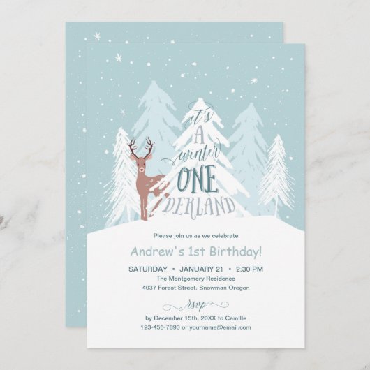 Invitation de fête d'anniversaire d'Onederland (Devant / Derrière)