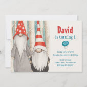 Invitation de fête d'anniversaire Gnome d'hiver (Devant)