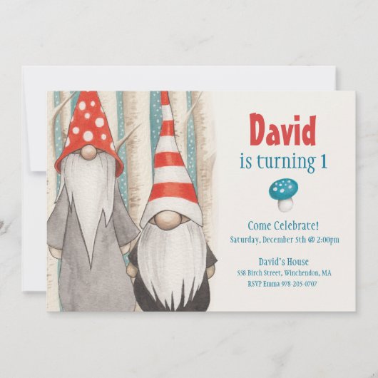 Invitation de fête d'anniversaire Gnome d'hiver (Devant)
