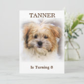 Invitation de fête d'anniversaire pour animaux (Debout devant)