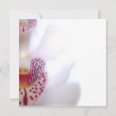 Invitation de Fête de la mariée (Dos)