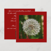 Invitation de fête d'été (Devant / Derrière)