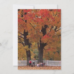 Invitation de feuilles d'automne