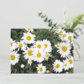 Invitation de fleur de marguerite (Debout devant)