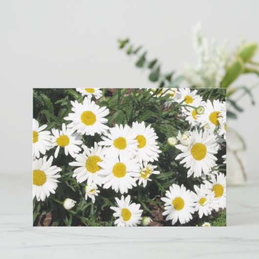 Invitation de fleur de marguerite (Debout devant)