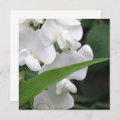 Invitation de fleur de pois doux (Devant / Derrière)