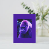 Invitation de gorilles de montagne - Invitations d (Debout devant)