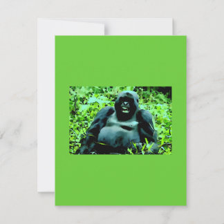 Invitation de gorilles de montagne - Invitations h