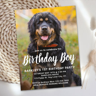Invitation de la fête d'anniversaire du chien