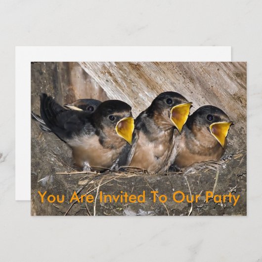 Invitation de la fête de chant (Devant / Derrière)