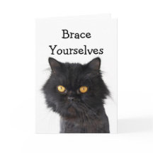 Invitation de la fête du chat perse noir