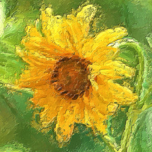 Invitation de la fleur de soleil