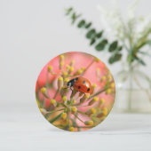 Invitation de la Lady Bug Party (Debout devant)