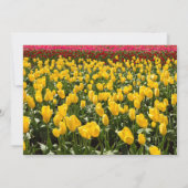 Invitation de la nuptiale Tulip Spring (Dos)